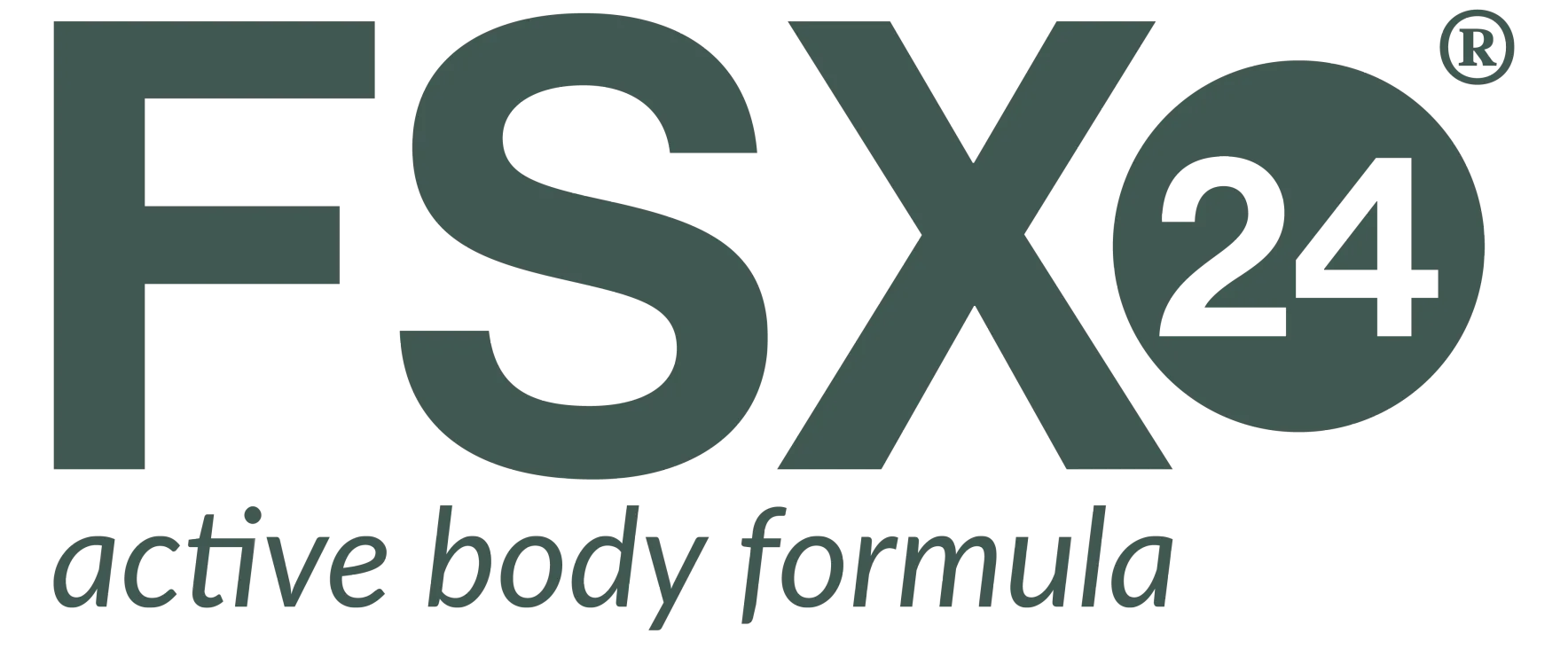 FSX24 Logo